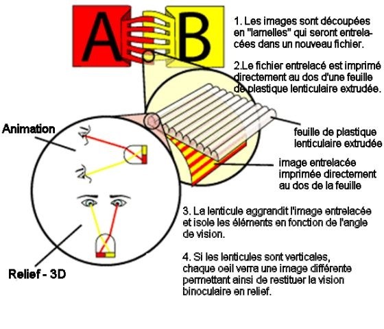 schema lenticulaire